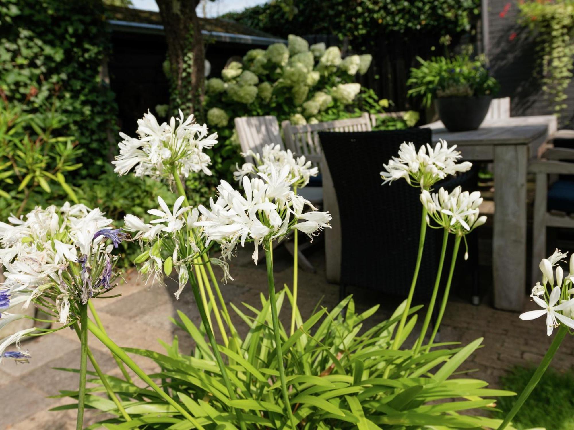 Alluring Apartment In Bergen With Terrace Garden And Bbq Dış mekan fotoğraf
