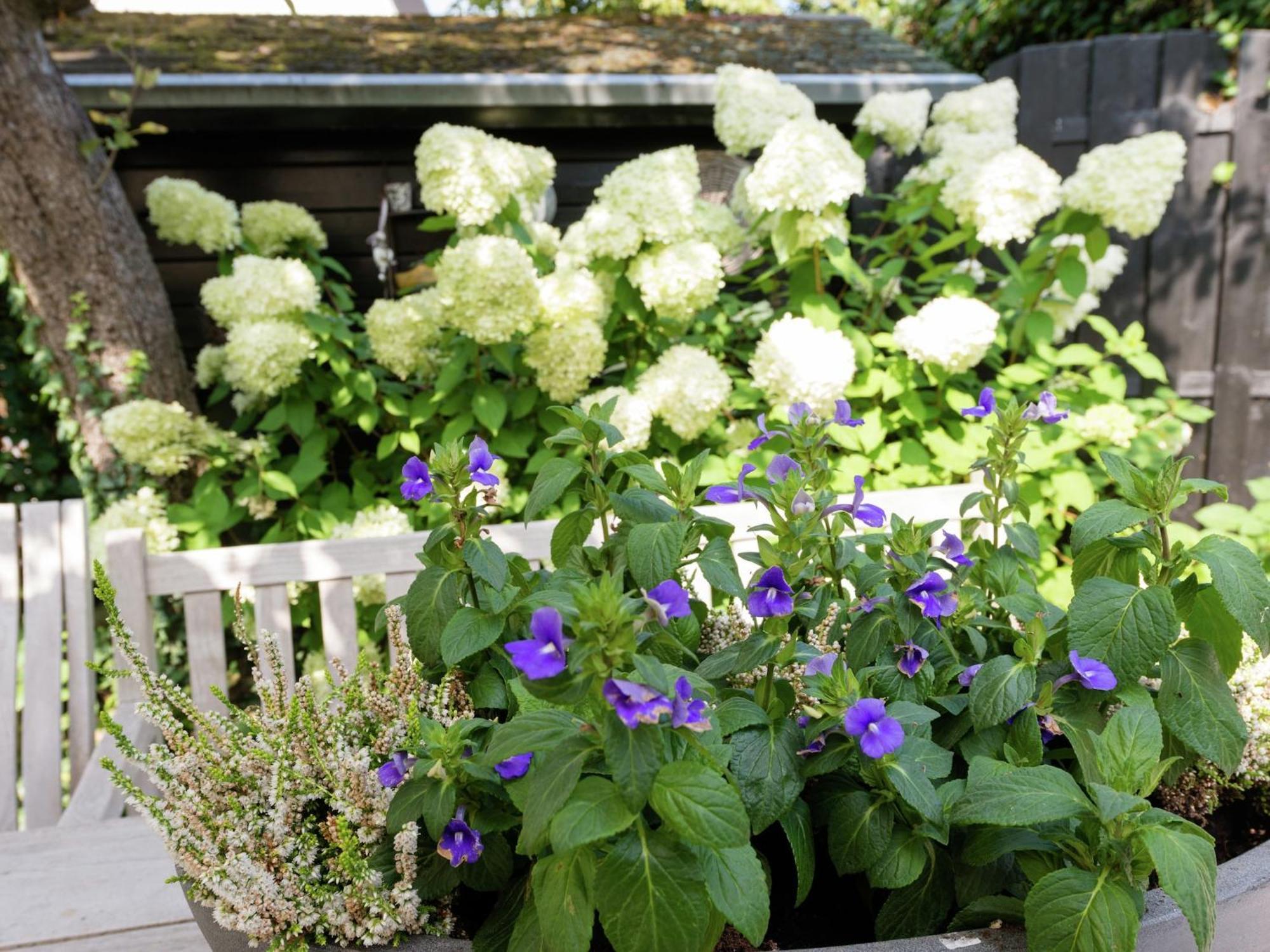 Alluring Apartment In Bergen With Terrace Garden And Bbq Dış mekan fotoğraf